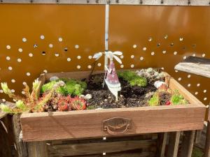 a wooden box with some plants in it at Ferienwohnungen Hubertus in Metzingen +20 photos