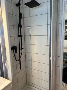 een douche in een badkamer met een glazen deur bij Apartments Neckarsulm in Neckarsulm +65 foto's