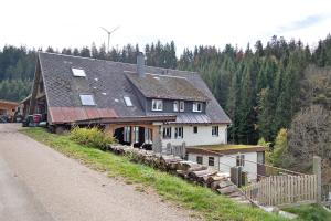 a large house on the side of a road at Atelier-Loft im Hübschental in Gütenbach