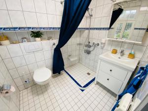 a bathroom with a shower and a toilet and a sink at Ferienhaus Sötenicher Mühle in Kall +16 photos