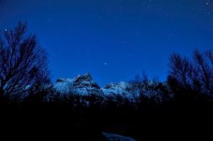 LyngværetにあるHoliday Home Lofotenのギャラリーの写真