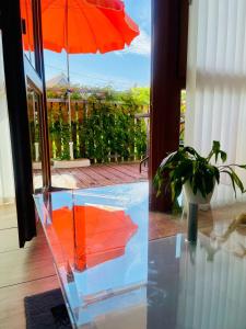a glass table with a red umbrella and a potted plant at Ferienwohnung Vogt in Sipplingen