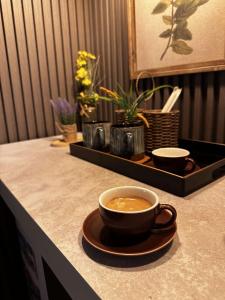 アル・フフーフにあるاستديو عزم بتصميم انيقの植物のあるカウンターの上に置かれたスープカップ