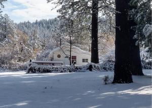 a house covered in snow with trees and a yard at Meadow Creek Cabin in Camino