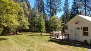 a small white building in a yard with trees at Meadow Creek Cabin in Camino