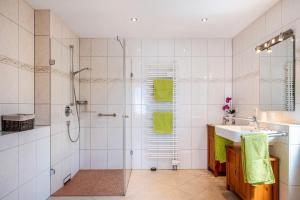 a bathroom with a shower and a sink at Haus Gramespacher in Bad Bellingen +17 photos