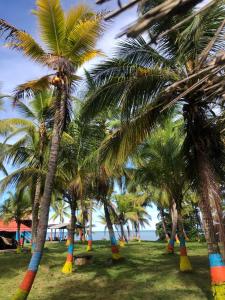 阿沃莱特斯Hotel EL PALMAR TOURS的相册照片