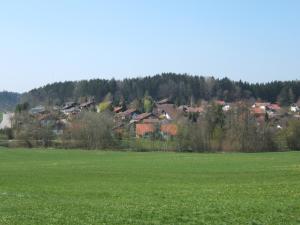 a large green field with houses in the background at Ferienwohnung Schwahn in Kleinschönach
