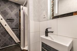 a bathroom with a sink and a mirror at Denkerhof Apartment Sabbatical in Reußenköge