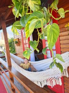 a child sitting in a hammock under a plant at Casa chalé in Itajaí