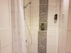 Vannituba majutusasutuses Hotel Pension Eberty