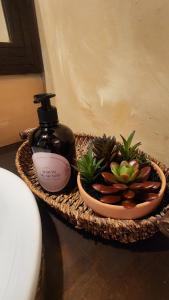a basket with a bottle of soap and some plants at CABAÑAS EN ZONA 16 in Guatemala