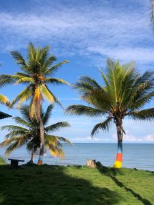 阿沃莱特斯Hotel EL PALMAR TOURS的相册照片