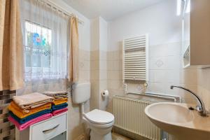 a bathroom with a toilet and a sink and a window at Ferienwohnung im Blumengarten in Angermünde +19 photos