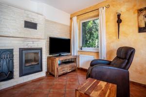 a living room with a tv and a fireplace at Ferienhaus Christina in Blankenburg