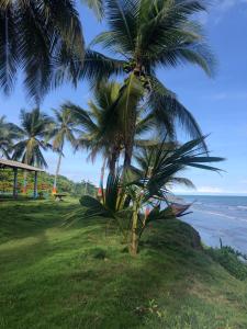 Paisagem natural perto do hotel