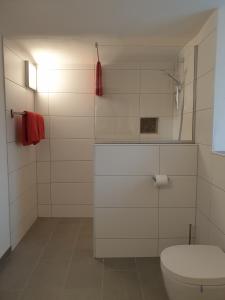 une salle de bain blanche avec toilettes et douche dans l'établissement wohnung-nummer-2, à Pielenhofen 4 autres photos
