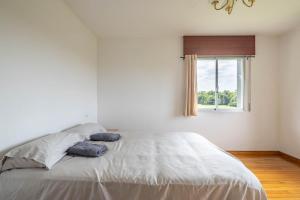 a bedroom with a large bed with a window at As Neveiras in Millerada