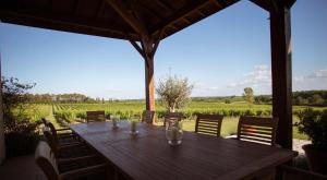 einen Holztisch mit Stühlen und Blick auf einen Weinberg in der Unterkunft La Maison in Villeneuve-de-Duras