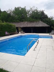 una gran piscina con techo de paja en La morena, en Ezeiza