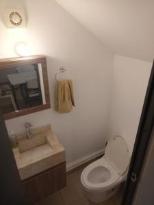 une salle de bain avec toilettes, lavabo et miroir dans l'établissement Your house in Acapulco Diamante with a Beach Club, à Acapulco