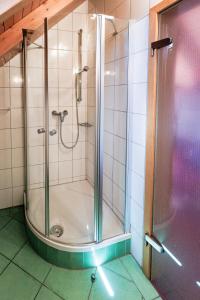 une douche avec une porte vitrée dans une salle de bain dans l'établissement Hinterhauensteinhof, à Hornberg 25 autres photos