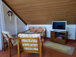 un soggiorno con televisione, tavolo e sedie di Haus Huber a Wolfach