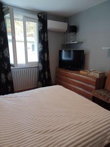 a bedroom with a bed and a tv and a window at Vue Dégagée au calme in Vocance