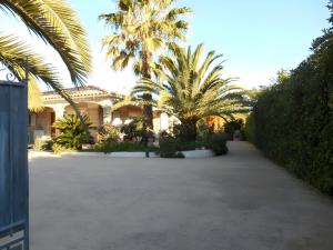 a house with palm trees and a driveway at Gautama in Sarrola-Carcopino