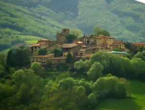 Příroda nedaleko apartmánu