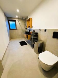 une salle de bains avec toilettes et lavabo dans l'établissement Ermstalsuite nähe Metzingen Outlet, à Dettingen an der Erms