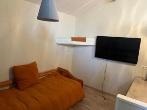 een woonkamer met een bank en een flatscreen-tv bij Magnifique villa avec piscine pour2 à 13 personnes in Bourg-en-Bresse +23 foto's