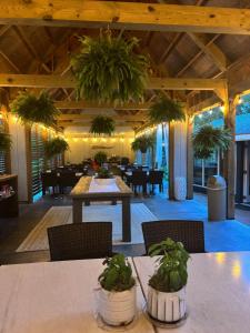 サウス・ヤーマスにあるCape Cod Verandaのテーブルと椅子と鉢植えのあるレストラン