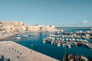a group of boats docked in a harbor at Quo Vadis Yacht in Bisceglie Harbor in Bari