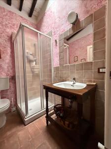 ein Badezimmer mit Waschbecken und Dusche in der Unterkunft Antiche Dimore Del Vescovado in Murlo
