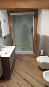 a bathroom with a shower and a toilet and a sink at Appartamento Via Livigno in Isolaccia +2 photos