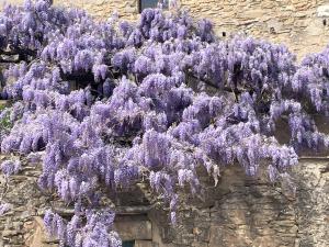 une couronne de fleurs violettes suspendue sur le côté d'un bâtiment dans l'établissement Gite Bleu - Paradis de Provence, à Le Pin