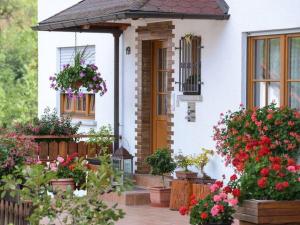 Un jardín fuera de Ferienwohnung Bergfranzenhof