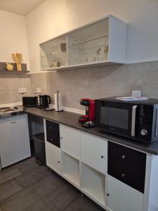 エアフルトにあるApartment Zum Riedfeldの電子レンジ付きのカウンタートップを備えたキッチン