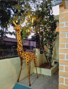 Foto de la galería de Lotus home stay 2BHK en Mysore