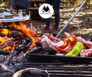 ein Grill mit Fleisch und Gemüse darauf in der Unterkunft Serendipia Chalet 2 Naturaleza y Pileta in La Cumbre