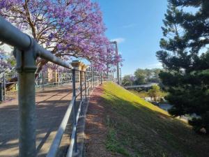 Φωτογραφία από το άλμπουμ του Welcome to your leafy retreat in Graceville! στο Μπρισμπέιν