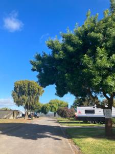 a tree on the side of a road at Lake Colac Holiday Park in Colac
