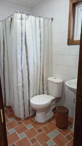 プエルト・アイセンにあるCabaña Moderna en el bosqueのトイレとシャワーカーテン付きのバスルーム