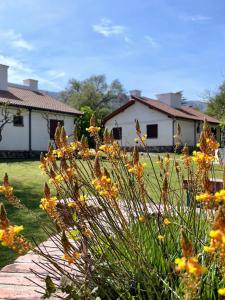 a garden with yellow flowers in front of a house at Cabañas Aldea Blanca in Merlo