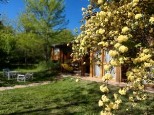 En have udenfor CASA CAMPO