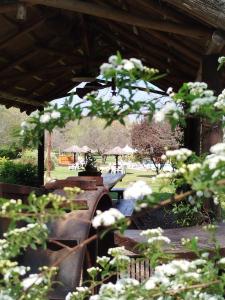 a view of a garden with white flowers at Hotel Boutique Spa & Sushi Posada de Campo-Solo adultos in Villa General Belgrano