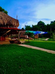 a building with a straw roof and a grass field at Glamping Tesoro Escondido in San Antero