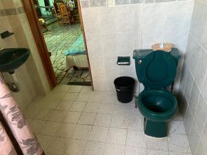 Host Sol في تاكسكو دي الاركون: حمام به مرحاض أخضر ومغسلة