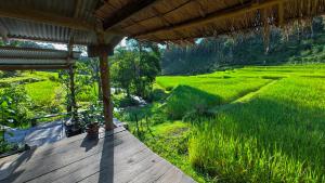 Φωτογραφία από το άλμπουμ του Chibacall ชิบะคอล, Karen Mountain Hideaway Homestay σε Ban Pha Mon